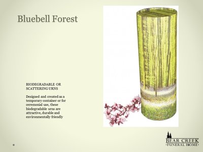 BLUEBELL FOREST *BIODEGRADEABLE*